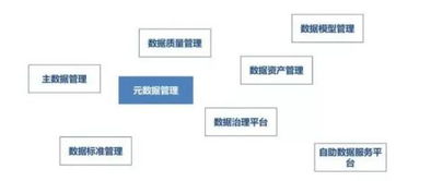 大數(shù)據(jù)治理 必備能力、關(guān)鍵技術(shù)及數(shù)據(jù)處理與存儲(chǔ)支持服務(wù)